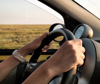 Personne conduisant une voiture