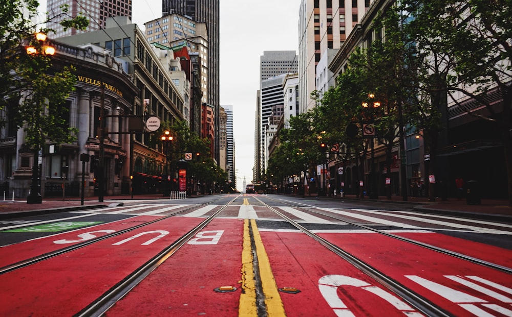 red, white, and gray road