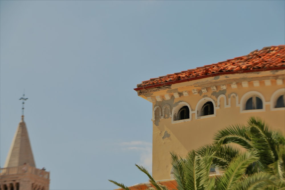 brown building and green palm trees