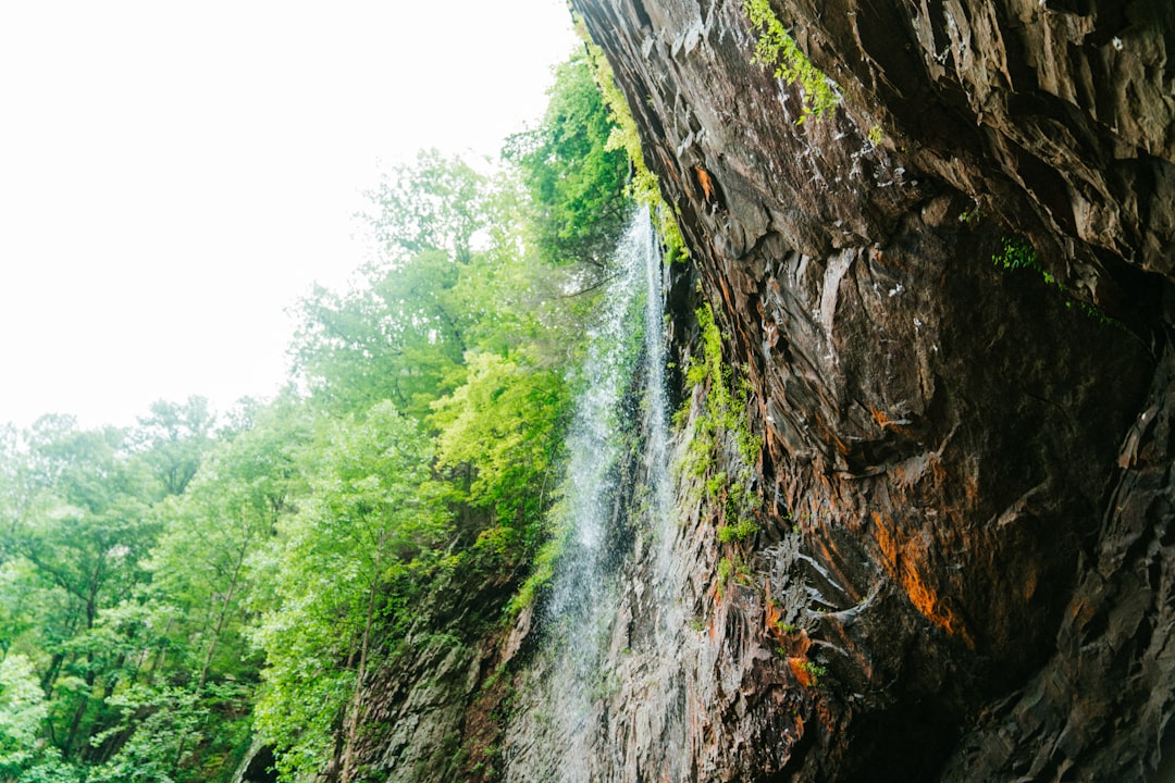 photography of waterfalls during daytime