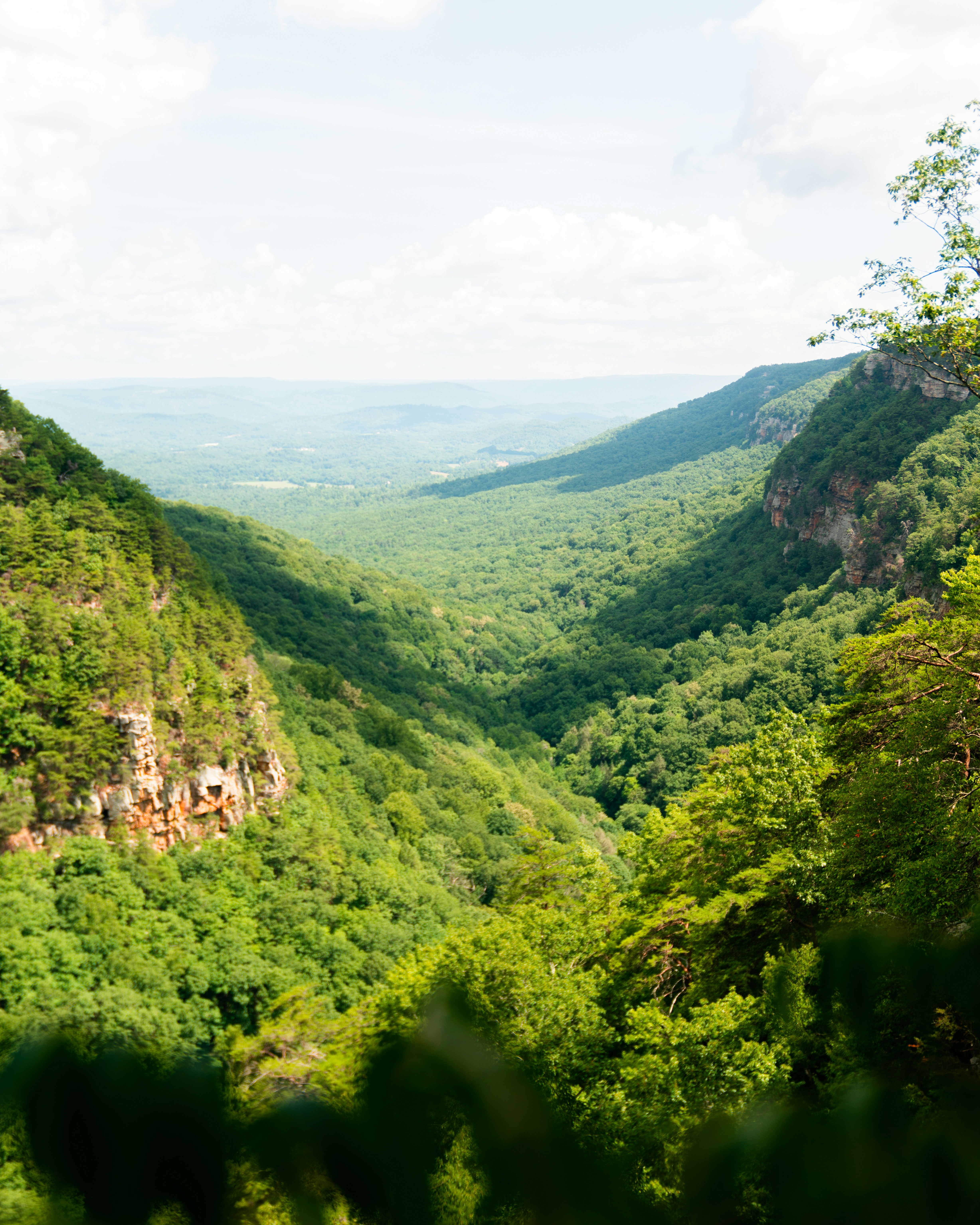 Photo by whitfieldjordan