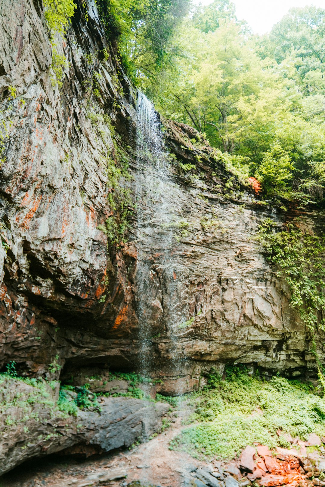 waterfalls surrounded with tall and green trees during daytime