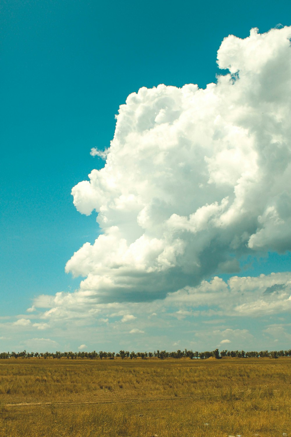 green field under white clouds