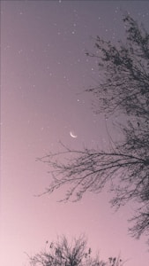Beginner Stargazing Binoculars