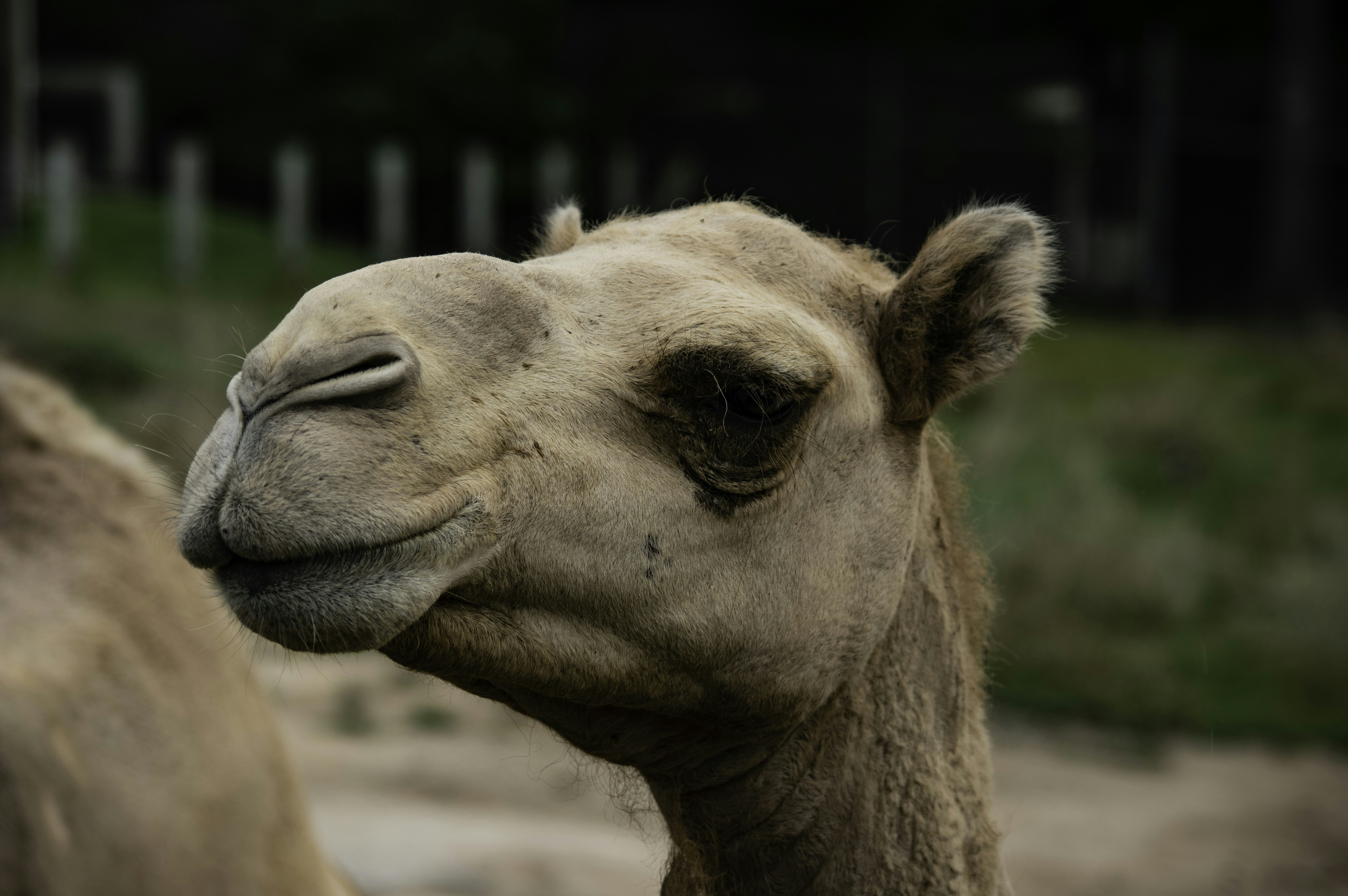 Photo by baileywood11