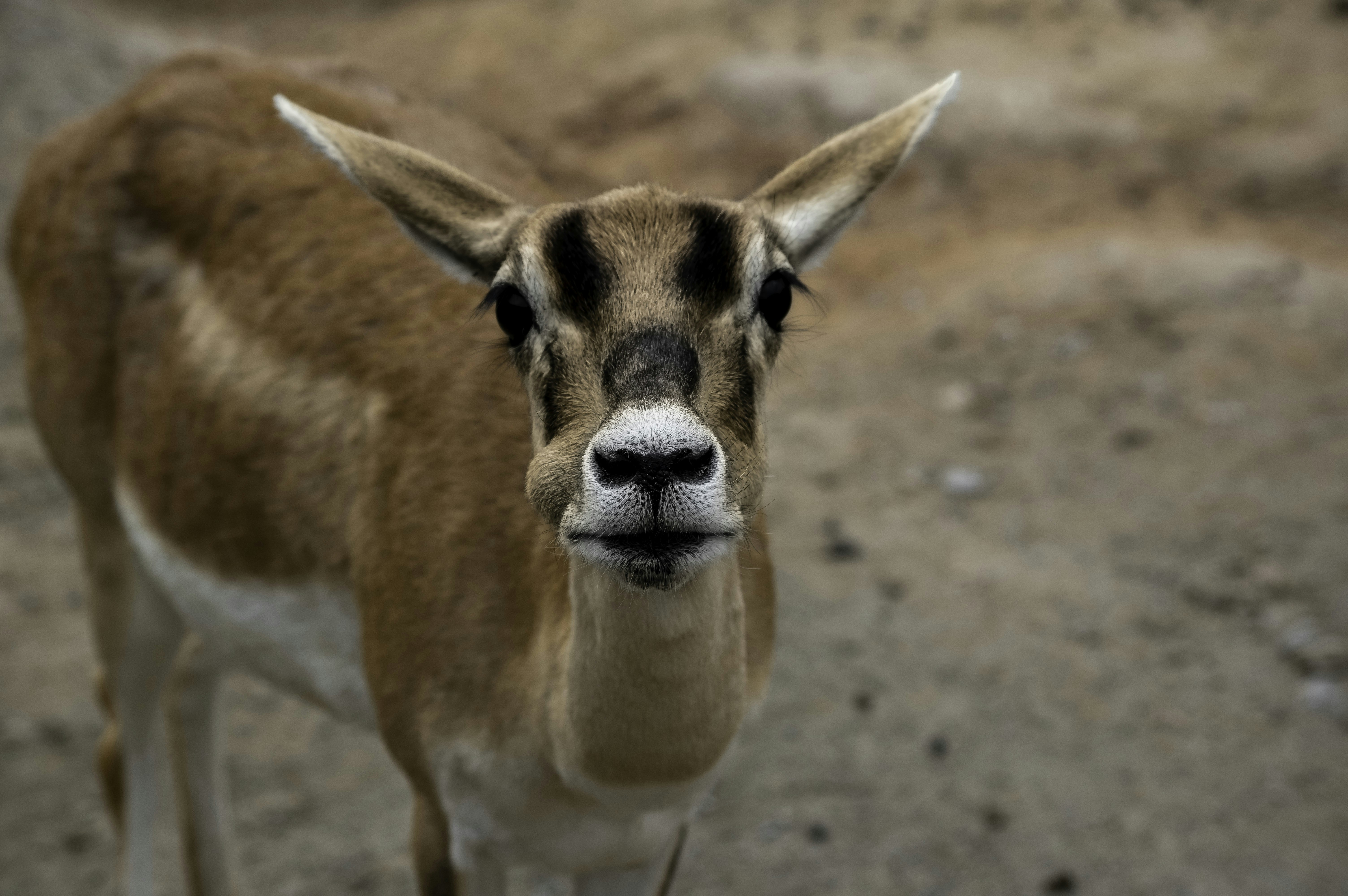 Photo by baileywood11