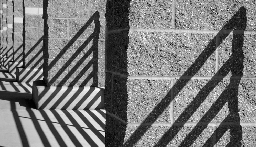 shadows cast on a wall and a bench