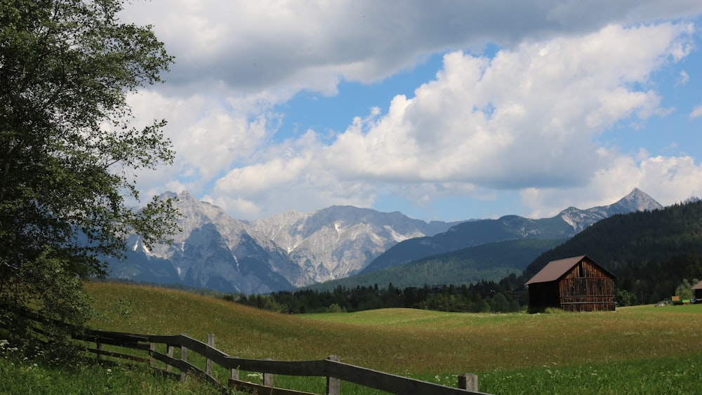 green grass field