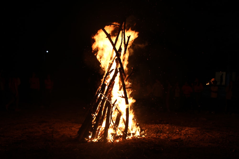 burning wood during nighttime