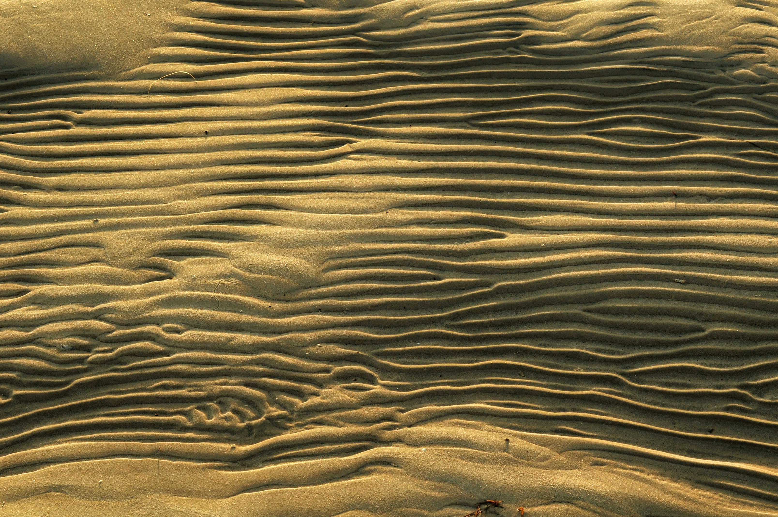 Photo by jeromejiraffe