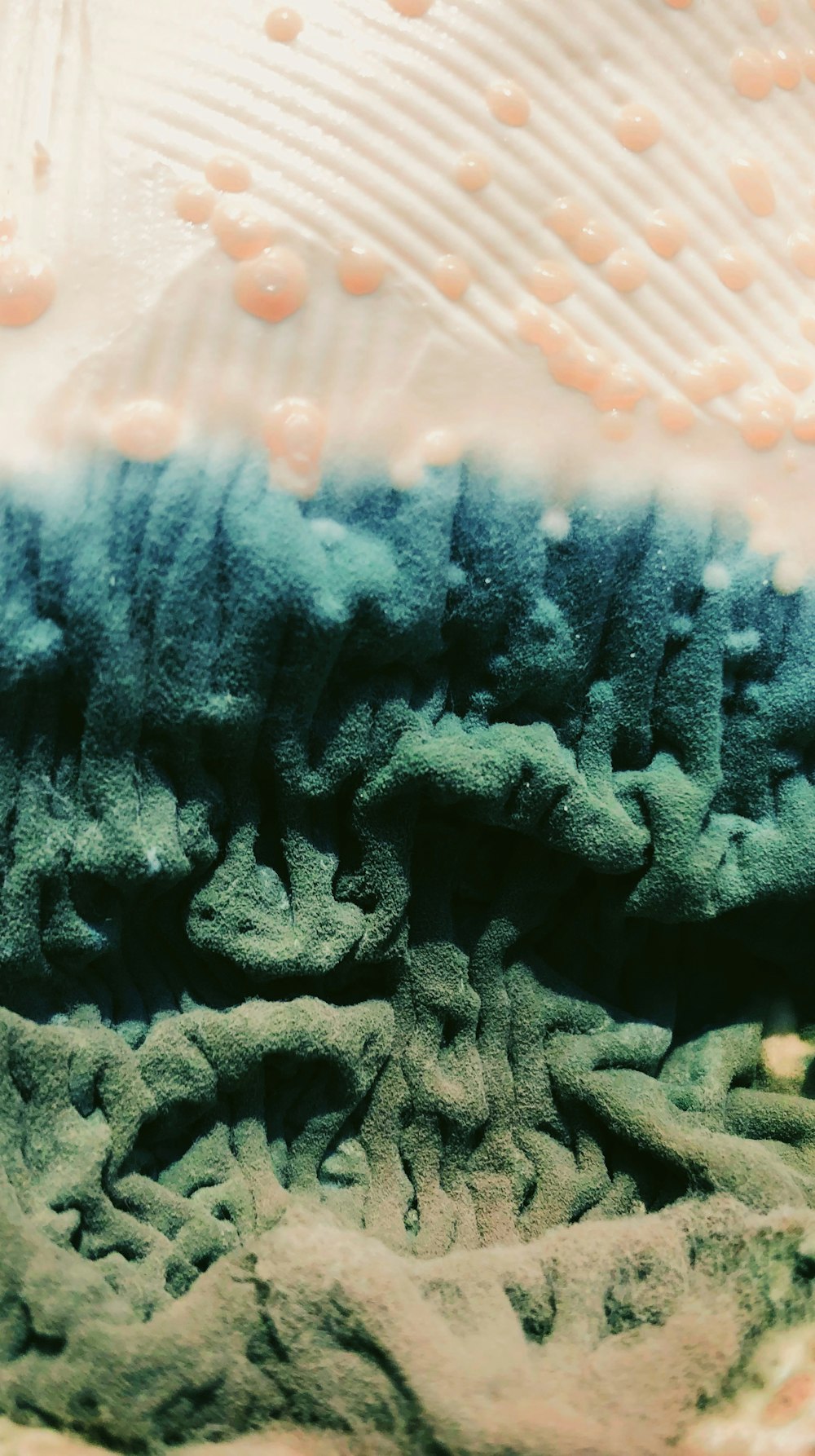 灰色の珊瑚