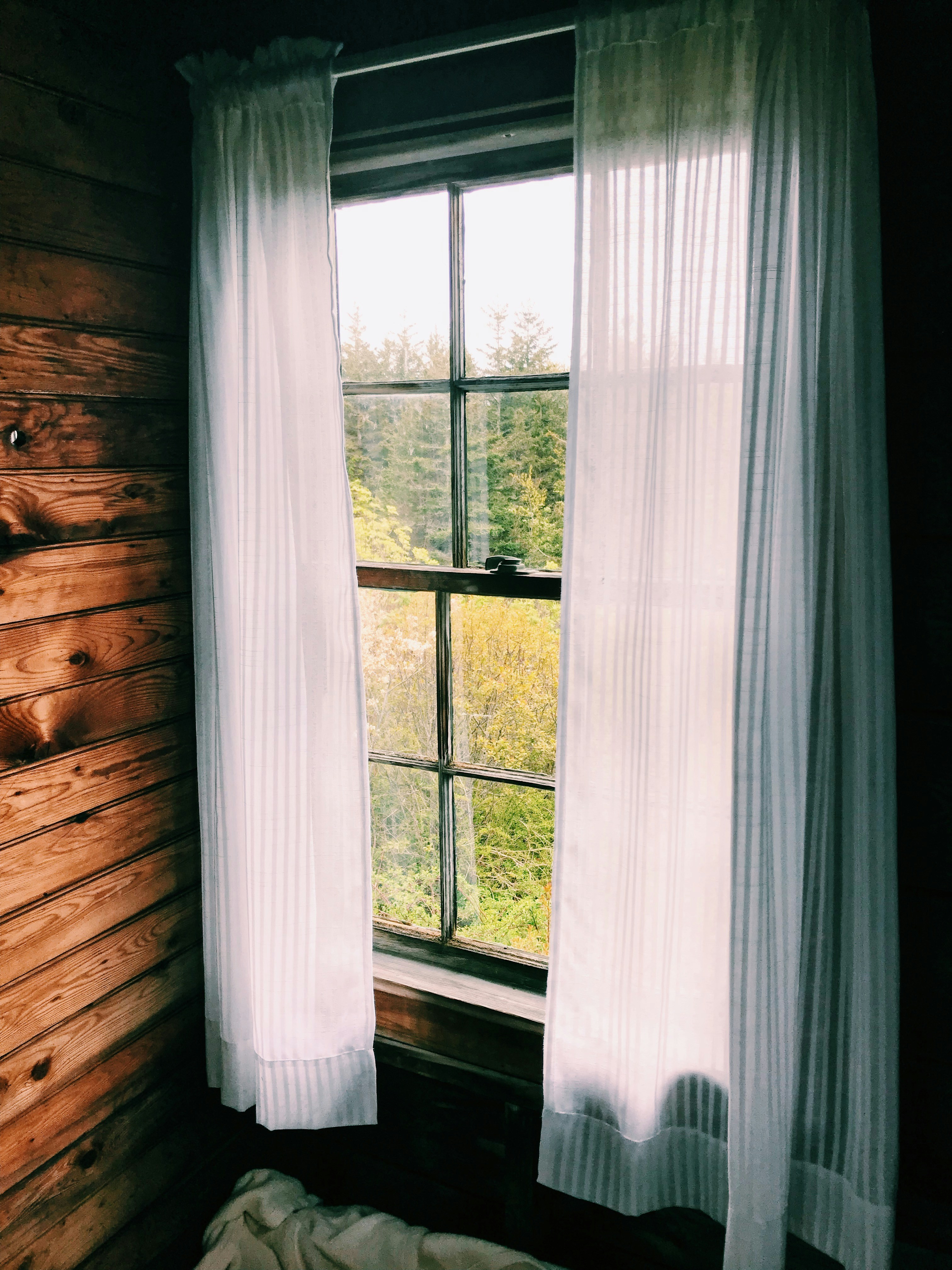 Photo by delawaresarah