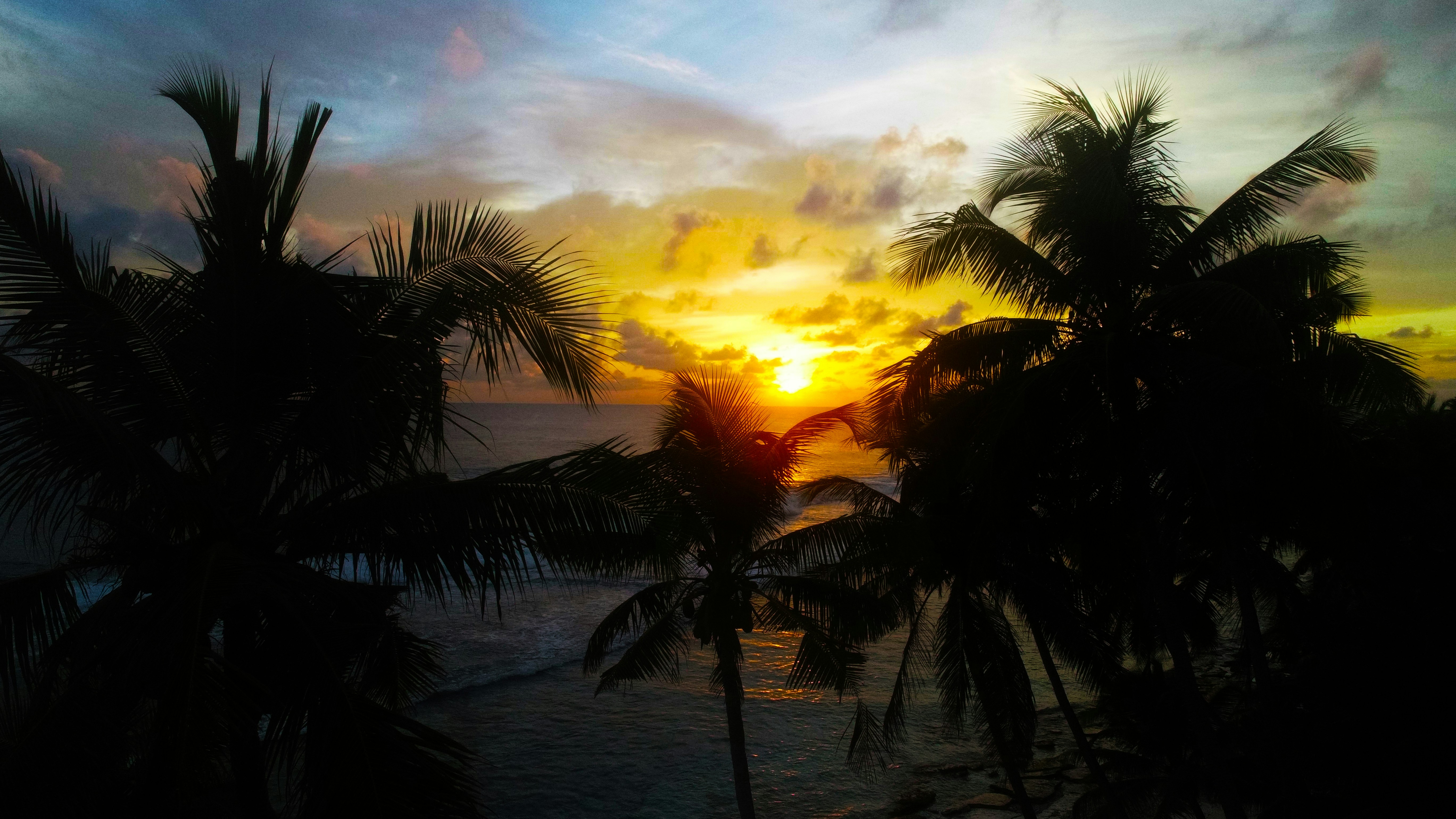 Photo by ___jiyad___