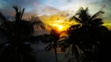 A vibrant sunset over the turquoise waters of Lakshadweep with silhouettes of palm trees.