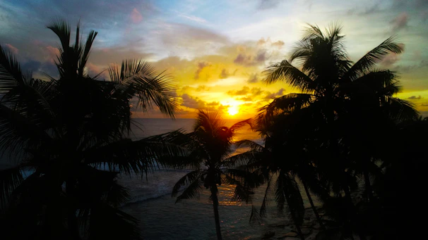 A vibrant Bahamian sunset over turquoise waters with silhouetted palm trees.