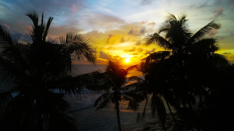 A vibrant sunset over the turquoise waters of Lakshadweep with silhouettes of palm trees.