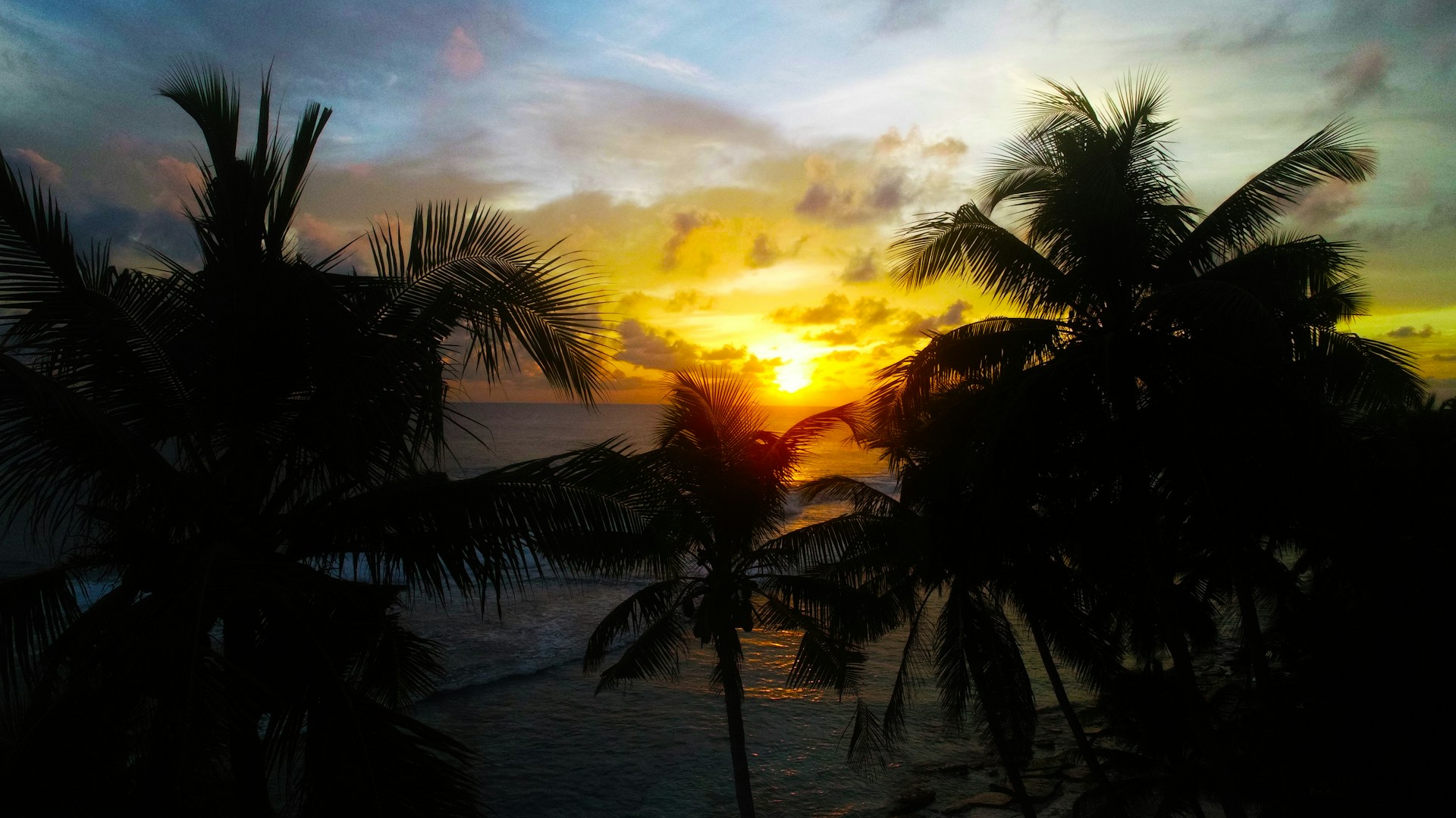 A vibrant sunset over the turquoise waters of Riviera Maya with palm trees gently swaying.