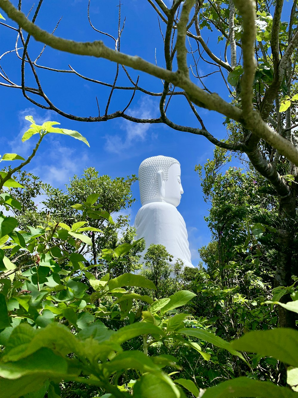 estatua blanca de Buda Gautama