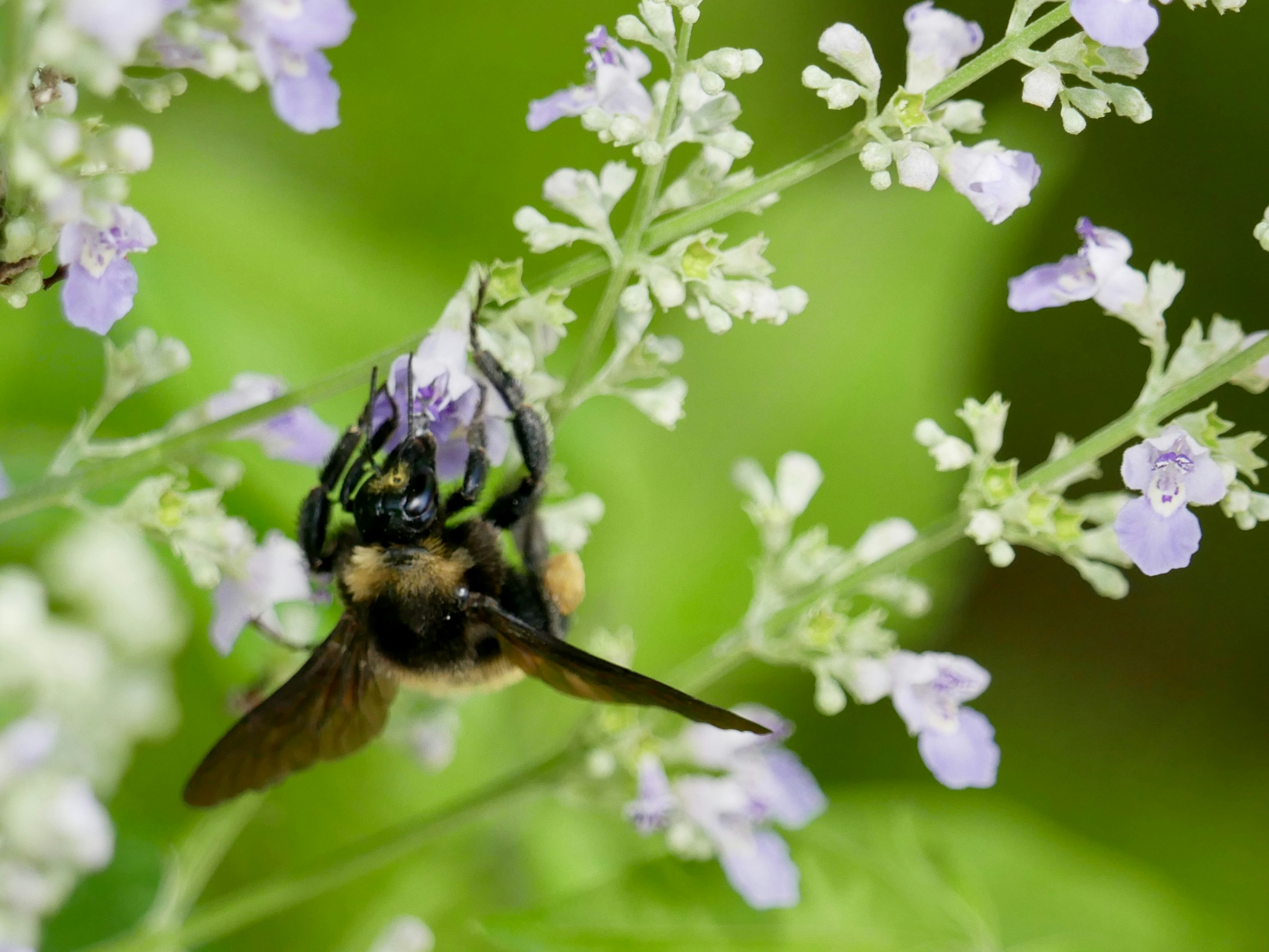 Photo by erictompkins