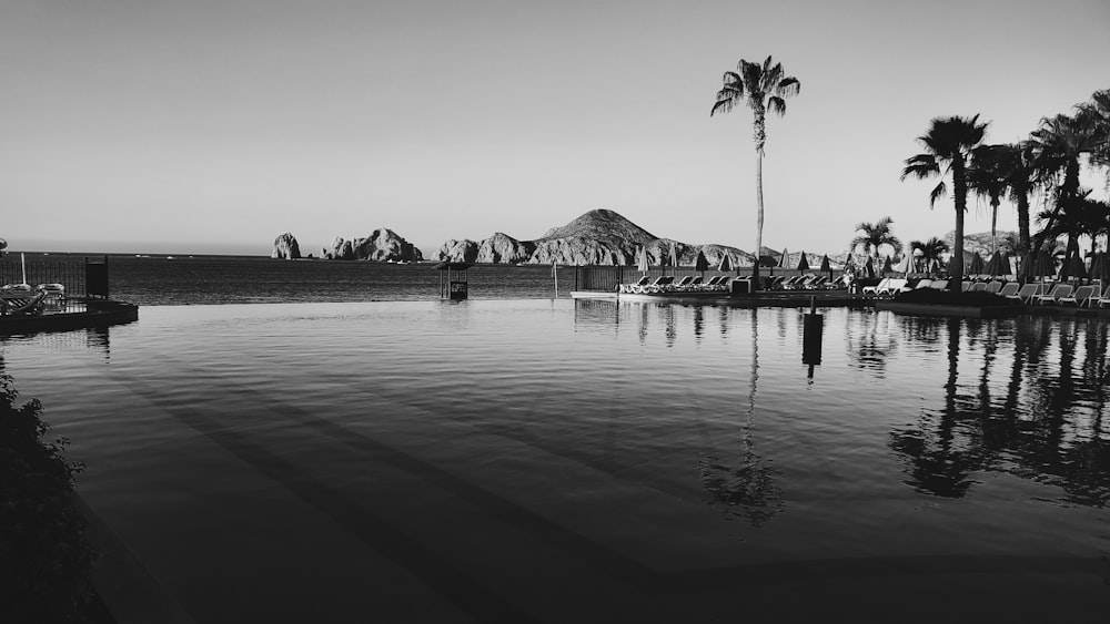 trees near body of water