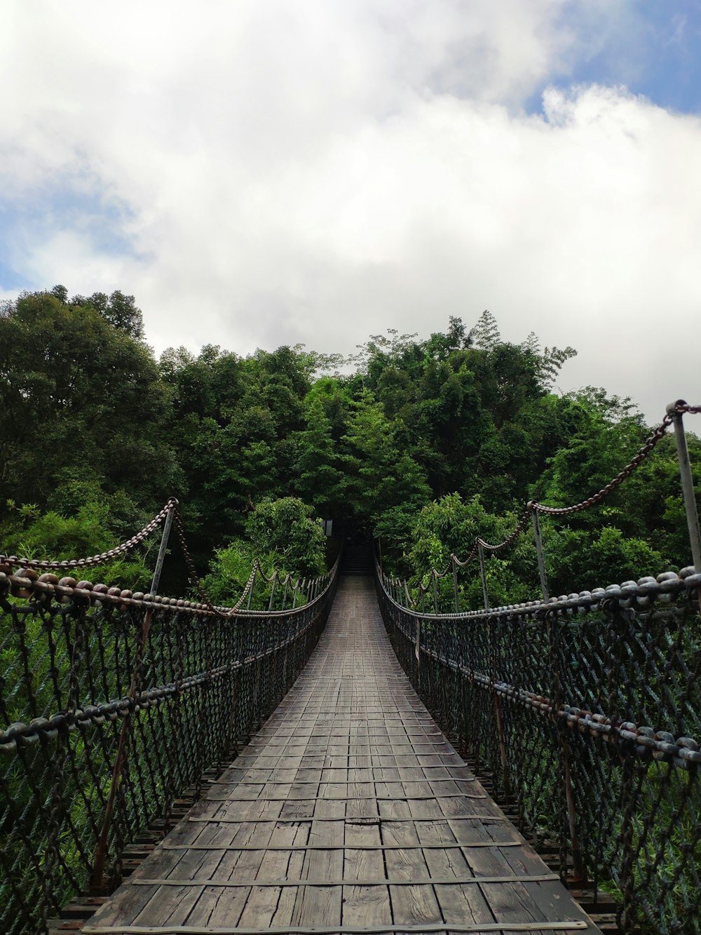 brown wood and brown rope bridge near trees