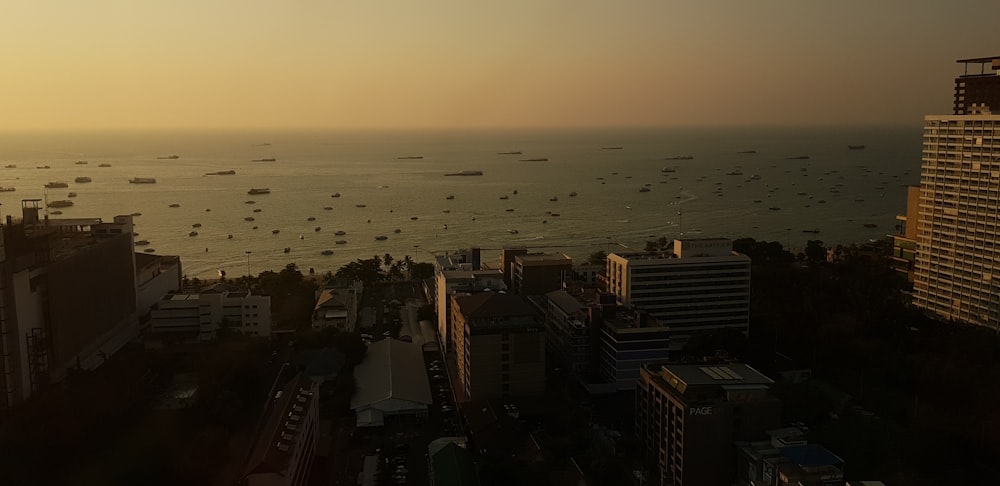 top view of buildings facing ocean