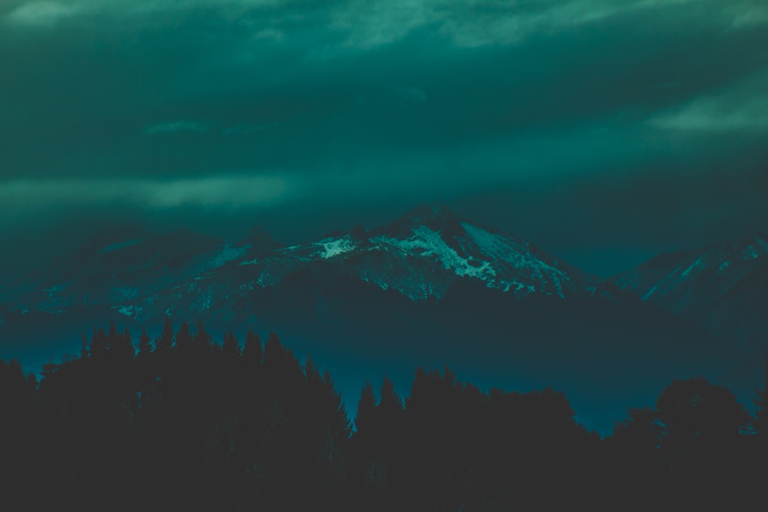 silhouette of trees near mountain