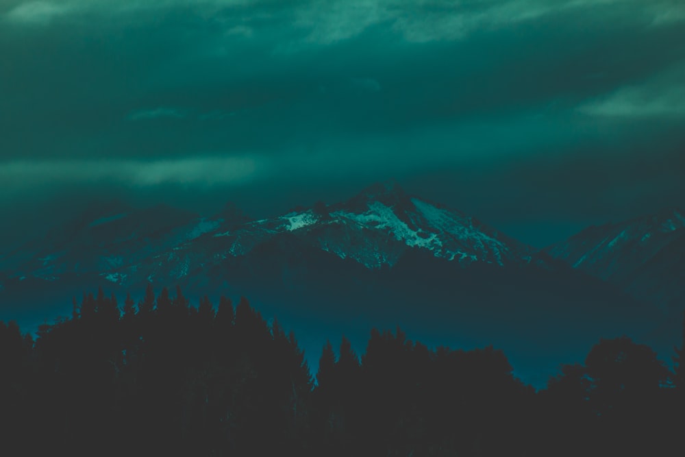 silhouette of trees near mountain