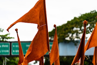 Close-up of a freshly marked plot boundary with orange flags fluttering, symbolizing new beginnings.