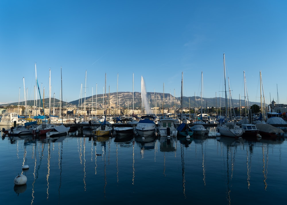 lined yacht near mountain