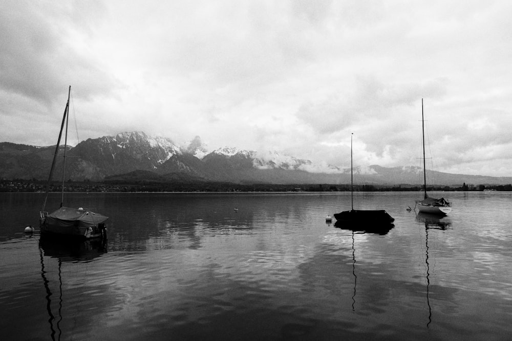 greyscale photography of body of water