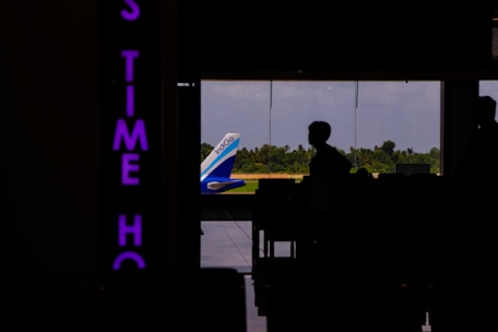 American Airlines, Delta Airlines, Eva Airlines, Air France Airlines, Alaska Airlines, JSX Flights, 