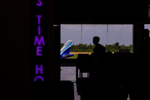A silhouette of a person is visible inside an airport terminal, with the tail of an IndiGo airplane seen through large glass windows. Beyond the plane, there is a view of green trees and a blue sky. On the left, there is a vertically oriented neon sign with partially visible purple letters.