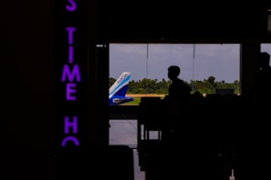 A silhouette of a person is visible inside an airport terminal, with the tail of an IndiGo airplane seen through large glass windows. Beyond the plane, there is a view of green trees and a blue sky. On the left, there is a vertically oriented neon sign with partially visible purple letters.