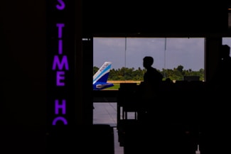 A silhouette of a person is visible inside an airport terminal, with the tail of an IndiGo airplane seen through large glass windows. Beyond the plane, there is a view of green trees and a blue sky. On the left, there is a vertically oriented neon sign with partially visible purple letters.