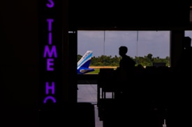 A silhouette of a person is visible inside an airport terminal, with the tail of an IndiGo airplane seen through large glass windows. Beyond the plane, there is a view of green trees and a blue sky. On the left, there is a vertically oriented neon sign with partially visible purple letters.