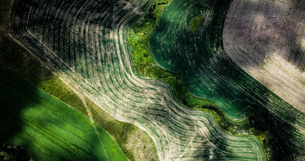 Photographie aérienne d’un champ d’herbe verte pendant la journée