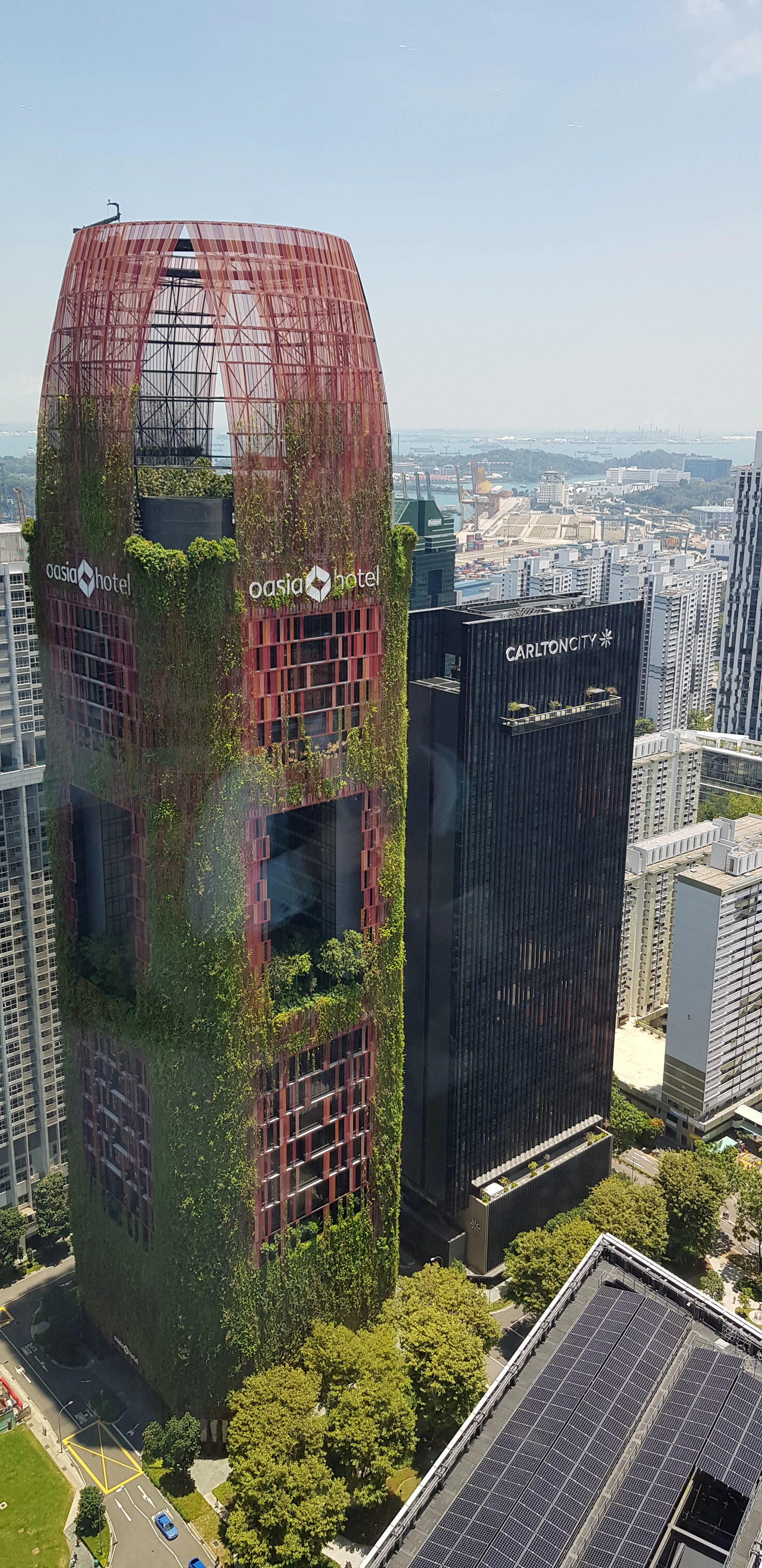 Façade d'immeuble végétalisée, couverte de plantes grimpantes