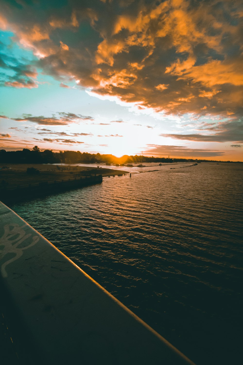 calm sea viewing trees during sunset