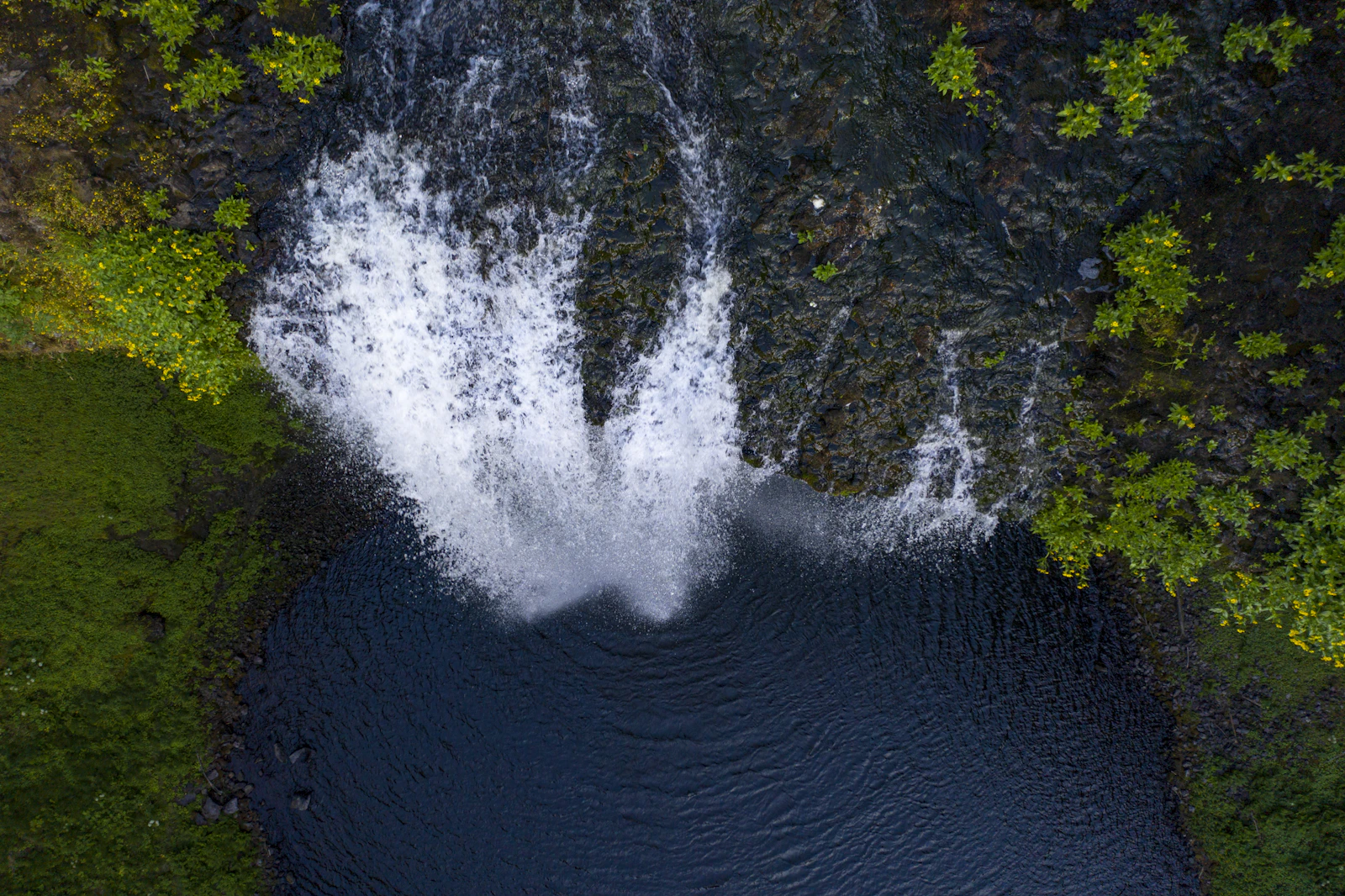 Aerial view of a forested waterfall in Oregon