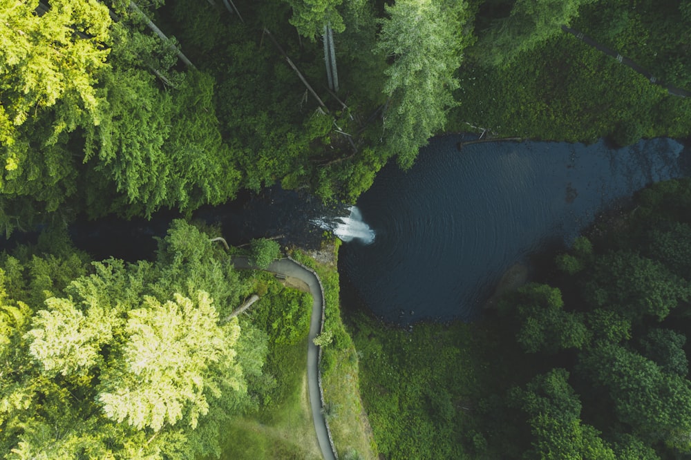 Fotografía aérea de cascadas rodeadas de árboles durante el día