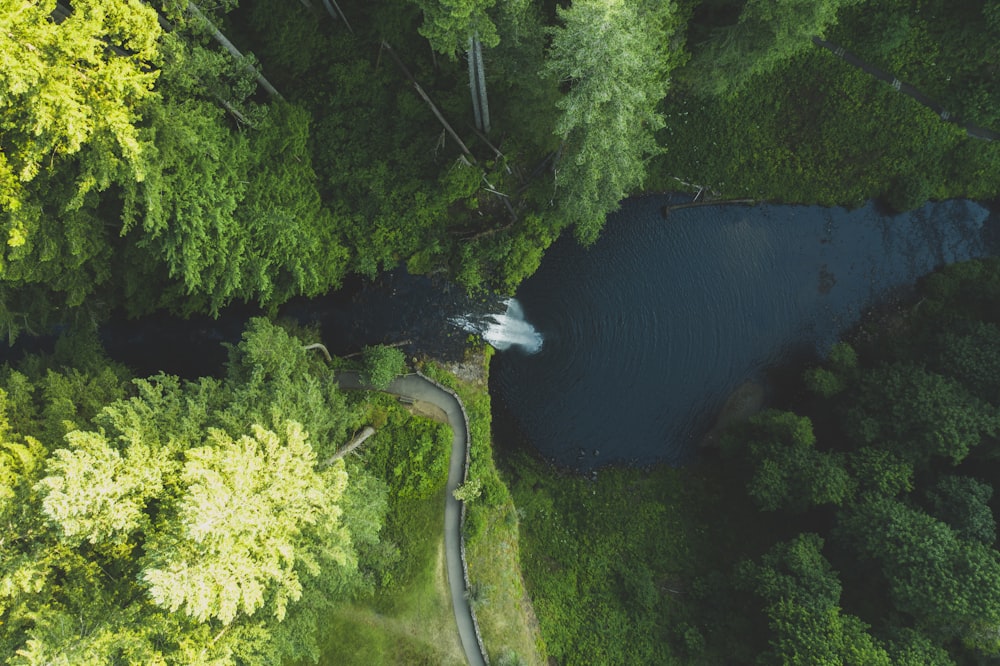 aerial photography of waterfalls surrounded by trees during daytime
