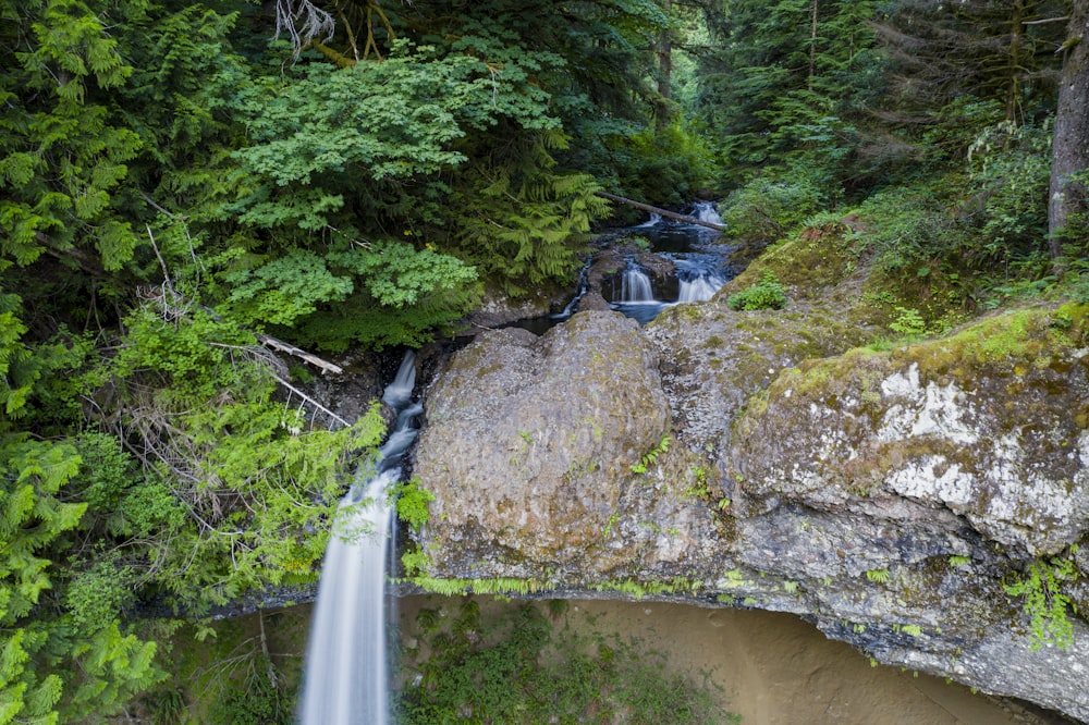 mini waterfalls surrounded with tall and green trees