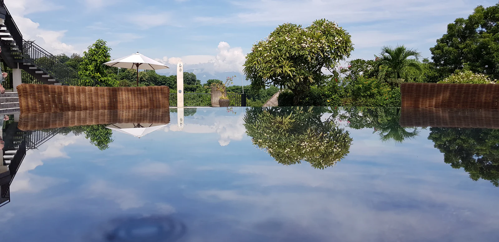 Infinity pool of a Balinese villa in Canggu, framed by frangipani and tropical planting