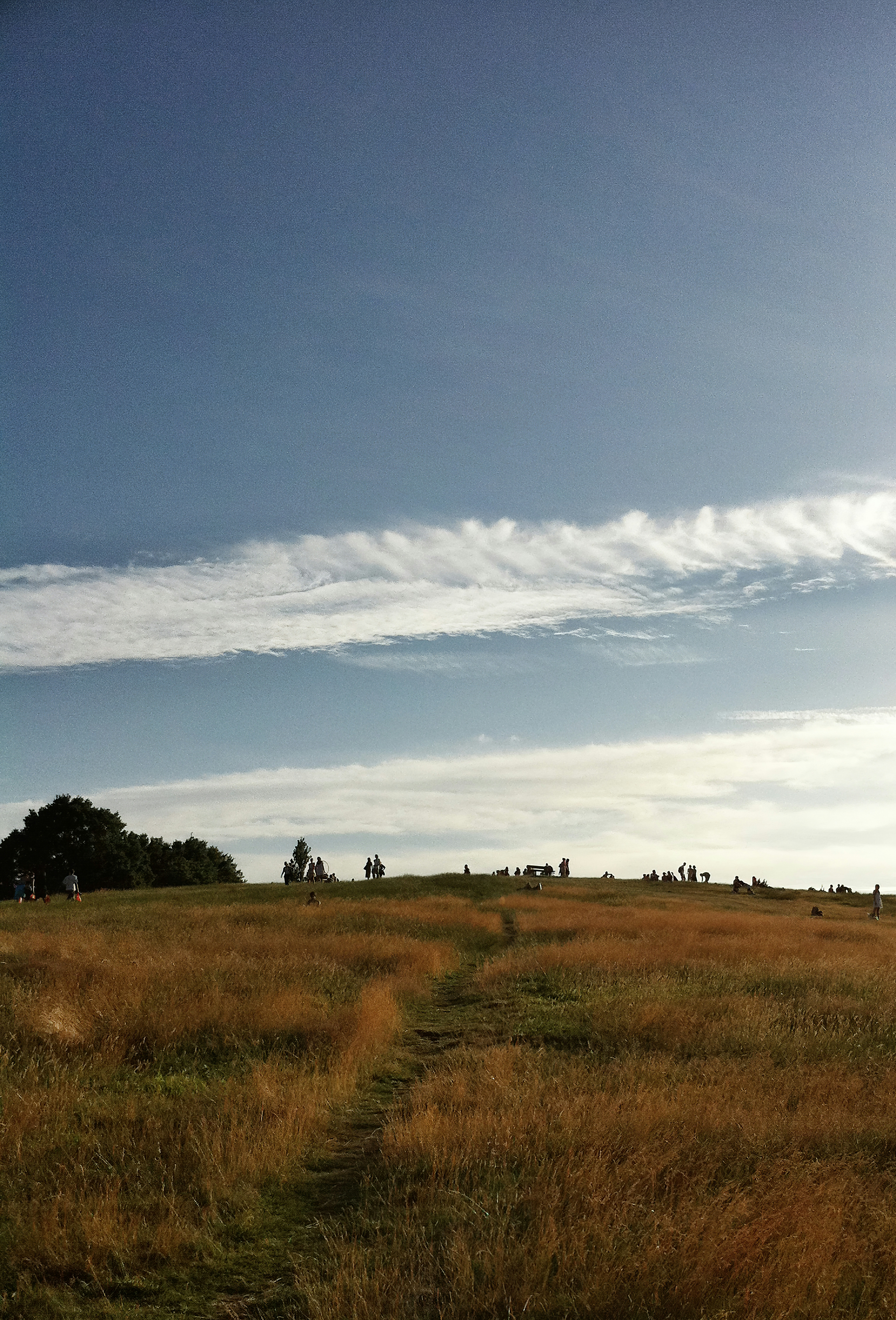 Photo by brett_jordan