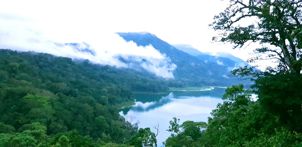 photography of lake surrounded by green trees during daytime