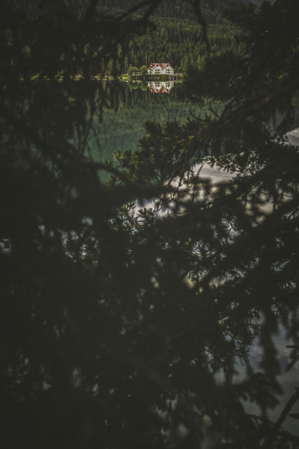 a house is seen through the branches of a tree