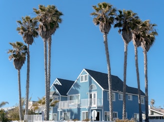 blue and white house at daytime