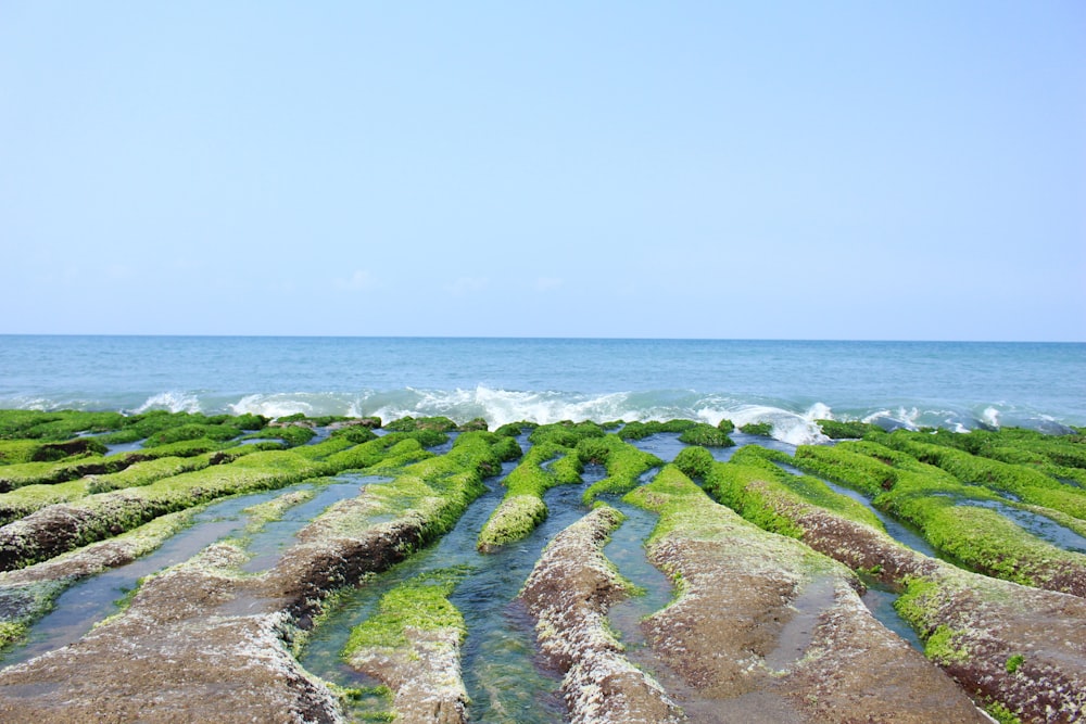 green and brown coast across horizon during daytime