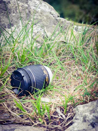 Close-up of a variety of camera lenses arranged on a mossy rock in the wild.